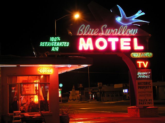 blueswallow.jpg